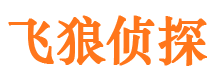 大兴外遇调查取证